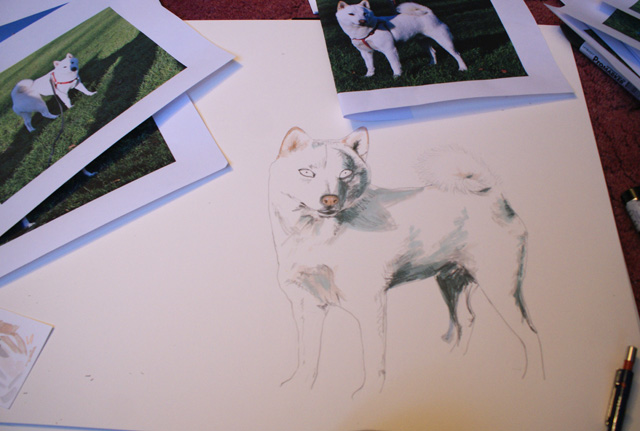 troy commission japanese dog