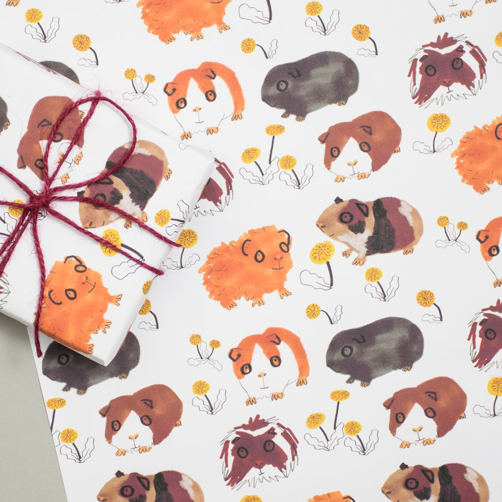 Guinea Pigs Gift Wrap Set Jo Clark Design